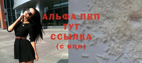 ешки Корсаков